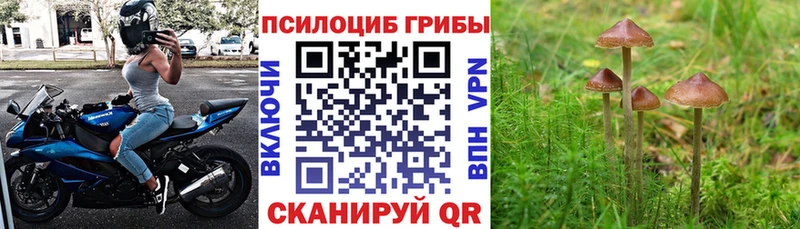 как найти наркотики  blacksprut tor  Галлюциногенные грибы ЛСД  Сергач 